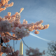 Image for article titled Shooting Challenge: Spring Gallery 2